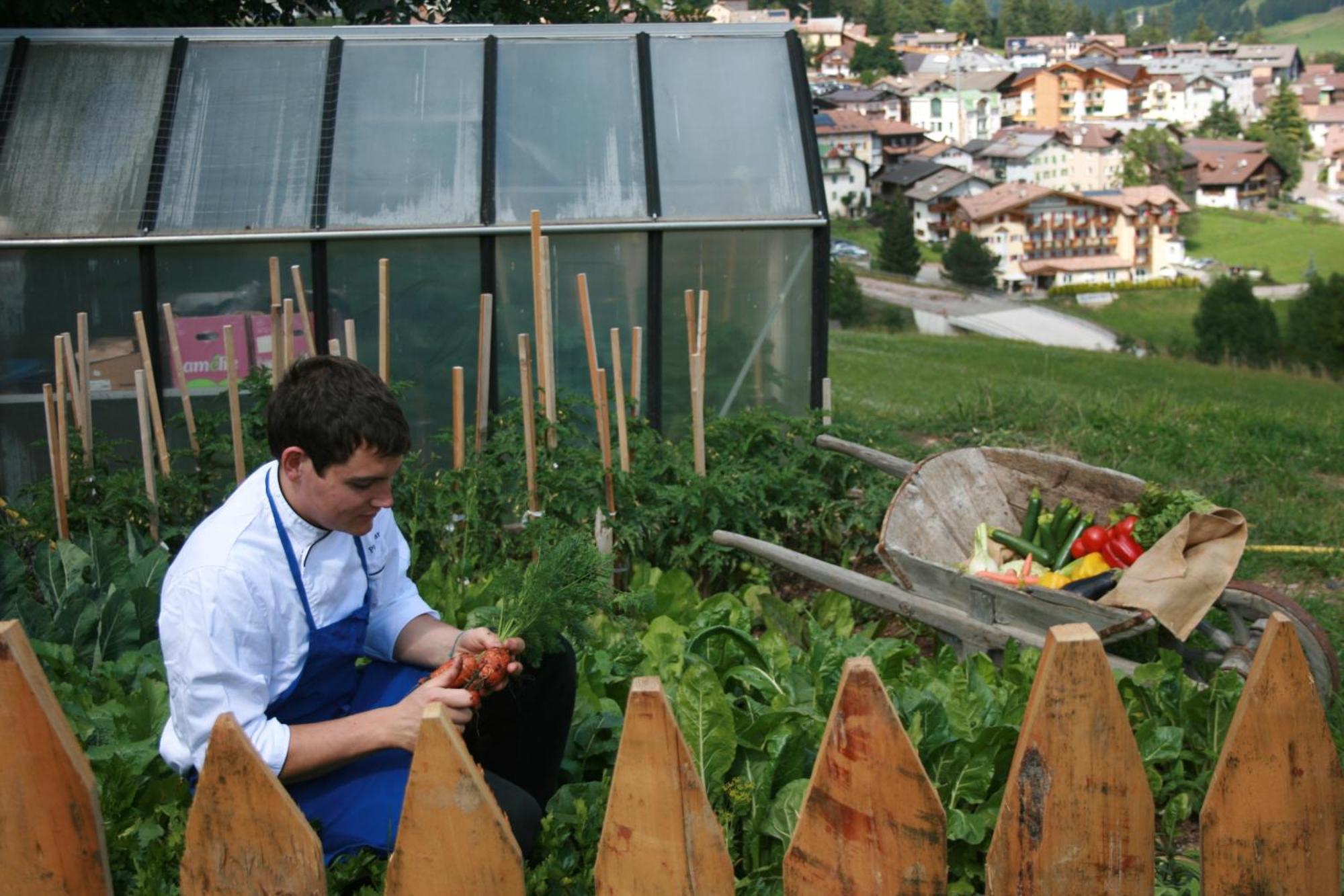 Hotel Catinaccio Vigo di Fassa Eksteriør billede