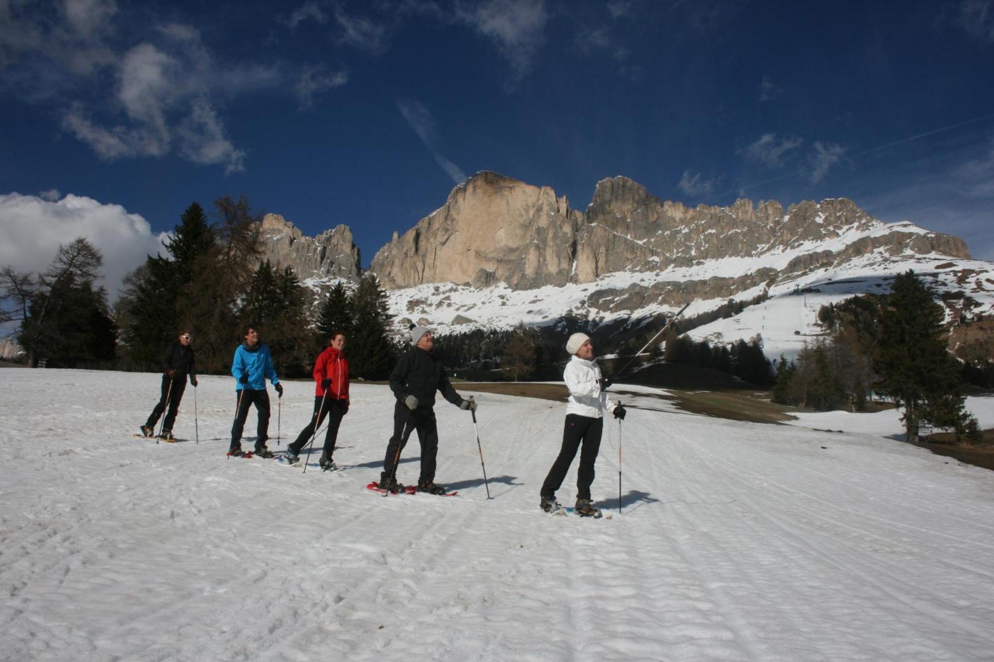 Hotel Catinaccio Vigo di Fassa Eksteriør billede